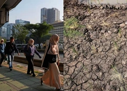 Thời điểm dân số 'Lục địa già' đạt đỉnh rồi rơi vào suy giảm kéo dài