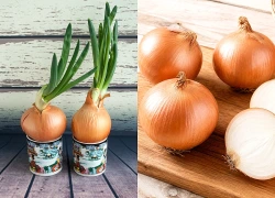 Trong 140 thực phẩm, chỉ một loại luôn liên quan đến huyết áp thấp hơn