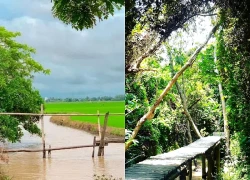 Vẻ đẹp của những cây cầu nhỏ ở quê Hồ Văn Cường