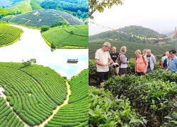 Vẻ đẹp 'ốc đảo xanh' giữa lòng quê hương bà xã Hồ Văn Cường