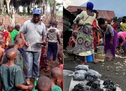 Bạo lực leo thang nghiêm trọng tại CHDC Congo