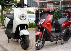 Mẹ bỉm, học sinh muốn mua xe máy điện giá rẻ đi phố, chọn chiếc nào?