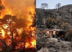 Tây Ban Nha: Cháy rừng dữ dội ở vùng Aragon, thiêu rụi khoảng 7.600 ha