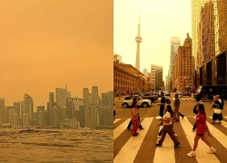 Thành phố Toronto (Canada) có chất lượng không khí kém nhất thế giới do cháy rừng