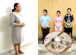 Thông tin mới đường dây buôn lậu xuyên quốc gia dính líu vụ Kim Lý, Ngọc Châu Âu