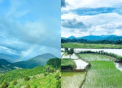 Về với đại ngàn