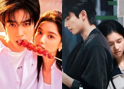 6 điểm nổi bật không thể bỏ lỡ trong Chó Hoang và Xương