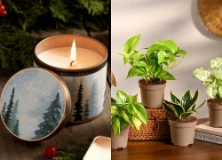 6 món đồ decor giúp hút dương khí cho tổ ấm trong tháng 'cô hồn'