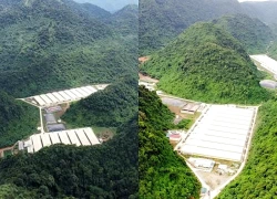 Ba người tử vong, 4 nạn nhân bị thương tại trang trại lợn ở Thanh Hóa
