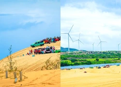 Bàu Trắng - 'ốc đảo' xanh giữa những triền cát bất tận
