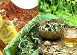 Cách dùng trà lá sen giảm mỡ máu
