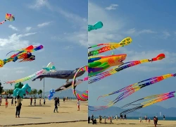 Đông đảo du khách trải nghiệm Lễ hội diều khổng lồ bên bờ biển Nha Trang