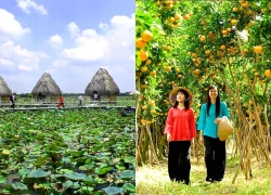 Những góc sống ảo không phải ai cũng biết khi đến thăm quê Hồ Văn Cường