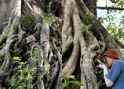 Vẻ đẹp của ngôi làng Xê Đăng giữa vùng trà Biển Hồ