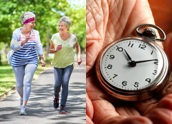 Phát hiện đột phá về não bộ có thể giúp người cao tuổi sống lâu hơn