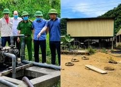 Vụ 5 người tử vong ở Thanh Hóa: Kiểm tra toàn diện trang trại lợn