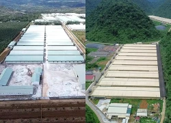 Vụ tai nạn tại trang trại lợn ở Thanh Hóa: Thêm 2 nạn nhân tử vong
