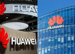 AI đạt điểm tuyệt đối tại cuộc thi toán hàng đầu thế giới