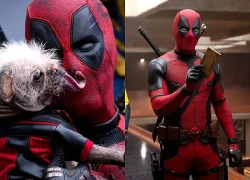 Deadpool xác nhận có phần tiếp theo