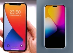 iPhone 20 Pro Max sẽ sở hữu màn hình lớn nhất lịch sử?