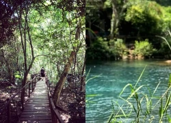 Khám phá Suối Nước Moọc - "ốc đảo xanh" giữa lòng Phong Nha-Kẻ Bàng