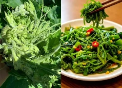 Loại rau này có thể xào hoặc làm món trộn cực ngon và đưa cơm: Cách làm dễ lại giúp thanh nhiệt, dưỡng ẩm đường ruột