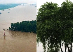 Lũ lụt đe dọa nhiều khu vực tại Trung Quốc và Ấn Độ