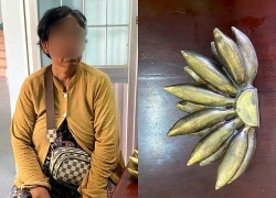 Người phụ nữ bán vé số bị lừa hết tài sản vì nải chuối "hàng quý"