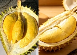Những người nên tránh ăn sầu riêng dù thích đến mấy