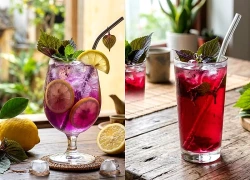 Uống quá nhiều nước lá tía tô có thể gây bất lợi gì?
