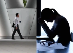 AI không thể gây sụp đổ thị trường việc làm