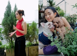 Châu Bùi đi tìm tổ ấm mới