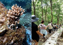 Côn Đảo phát huy tiềm năng thiên đường du lịch sinh thái