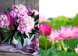 Đúng ngày mai, thứ Ba 28/7/2026, 3 con giáp Thịnh vượng giàu có, làm ăn khấm khá, sống đời thảnh thơi, đổi vận phú quý hanh thông