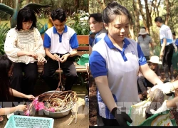 Bảo tàng sống giữa Đồng Tháp Mười có gì thu hút du khách?