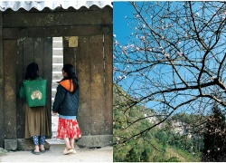 Ngôi làng biệt lập giữa rừng già ở Tuyên Quang hút khách vì vẻ đẹp nguyên sơ