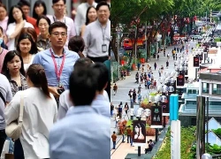 Người trẻ Singapore đổ xô tìm “kế hoạch B” giữa làn sóng bất an vì AI