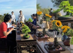 Ra mắt tour thưởng trà trên đỉnh Bàn Cờ, lan tỏa văn hóa trà Việt