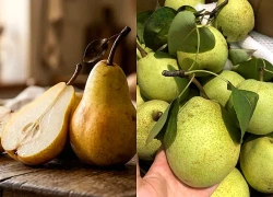 Cách dưỡng phế trong mùa mưa