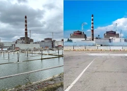 CEO Rosatom lên tiếng về tình hình nhà máy điện hạt nhân Zaporizhzhia