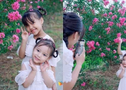 Đường hoa tường vi níu chân du khách