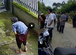 Hàng trăm người tìm kiếm cụ bà 89 tuổi ở Đồng Nai