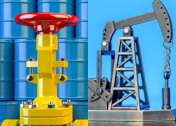 OPEC+ tiếp tục tăng sản lượng dầu trong tháng 9