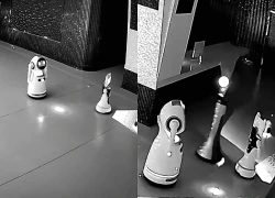 Thực hư robot AI "bắt giam" và dẫn giải 12 robot khác trốn chạy con người
