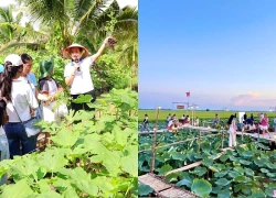 Xã Tam Nông: Phát triển nông nghiệp sinh thái từ tiềm năng du lịch