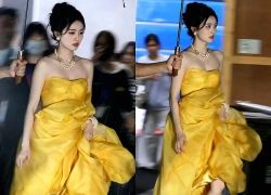 Bạch Lộc hiếm hoi xuất hiện sau nhiều tranh cãi