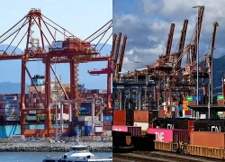 Canada miễn thuế đối ứng với thủy sản nhập khẩu từ Mỹ
