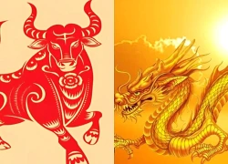 Top 5 cung hoàng đạo khẩu xà tâm phật: Lời nói sắc bén nhưng sở hữu trái tim vô cùng ấm áp