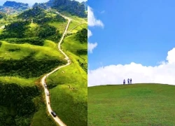 Đồi cỏ Phan Thanh – “Thảo nguyên xanh” giữa miền non nước