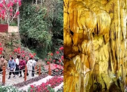 Động Phong Sơn - Vẻ đẹp kỳ ảo giữa núi rừng và không gian văn hóa tâm linh xứ Mường